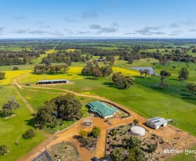 Rural / Farming commercial property for sale at 279 Giumelli Road Henty WA 6236