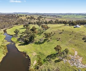 Rural / Farming commercial property for sale at 141 Calderwood Road Rylstone NSW 2849