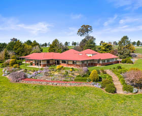 Rural / Farming commercial property for sale at 713 Nanima Road Springrange NSW 2618