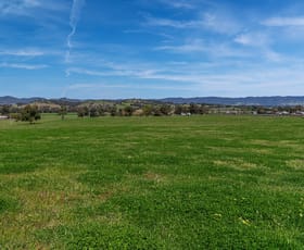 Rural / Farming commercial property for sale at 325 Melrose Road Mudgee NSW 2850