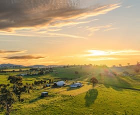 Rural / Farming commercial property for sale at 146 Tuckermans Road Mudgee NSW 2850