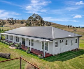 Rural / Farming commercial property for sale at 146 Tuckermans Road Mudgee NSW 2850
