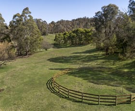Rural / Farming commercial property for sale at 887 Buttercup Road Merrijig VIC 3723