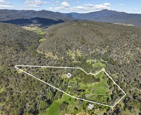 Rural / Farming commercial property for sale at 887 Buttercup Road Merrijig VIC 3723