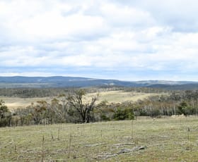 Rural / Farming commercial property for sale at "Eagle Heights" 636 Caddigat Road Dry Plain NSW 2630