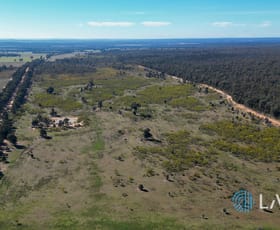 Rural / Farming commercial property for sale at 1587 Denmire Road Mendooran NSW 2842