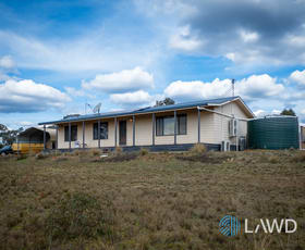 Rural / Farming commercial property for sale at 1587 Denmire Road Mendooran NSW 2842