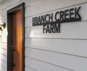 Rural / Farming commercial property for sale at 301 Branch Creek Road Dalby QLD 4405
