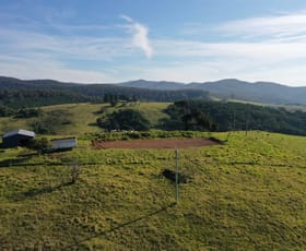 Rural / Farming commercial property for sale at Lot 193 Fourter Road Nethercote NSW 2549