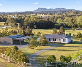 Rural / Farming commercial property for sale at 2C Nelson Street Greta NSW 2334