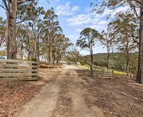 Rural / Farming commercial property for sale at 259 Millers Road Maffra West Upper VIC 3859