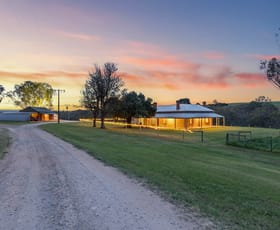 Rural / Farming commercial property for sale at 61 Bridge View Road Finniss SA 5255