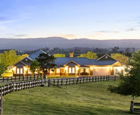 Rural / Farming commercial property for sale at 161 Mount Hercules Road Razorback NSW 2571
