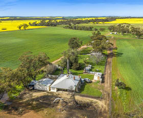 Rural / Farming commercial property for sale at 1831 Midlands Road Moora WA 6510