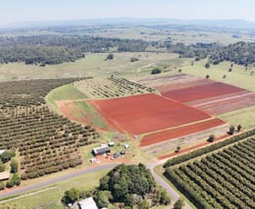 Rural / Farming commercial property for sale at 767 Peeramon Road Peeramon QLD 4885