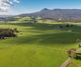 Rural / Farming commercial property for sale at 1037 & 1044 Dairy Plains Road Western Creek TAS 7304