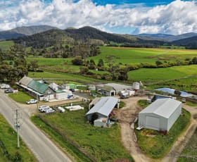 Rural / Farming commercial property for sale at 163 St Columba Falls Road Pyengana TAS 7216