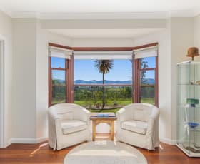 Rural / Farming commercial property for sale at 49 Quinlans Road Verona NSW 2550