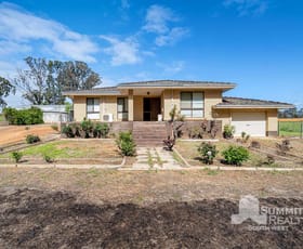 Rural / Farming commercial property for sale at Lots 70 & South Western Highway Newlands WA 6251