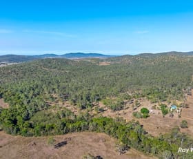 Rural / Farming commercial property for sale at 219 Thompson Point Road Nankin QLD 4701