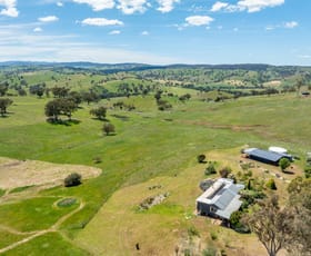 Rural / Farming commercial property for sale at 64 Wianamatta Road Canowindra NSW 2804