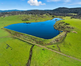 Rural / Farming commercial property for sale at 'Hydaway' 448 Westwood Road Westwood TAS 7292