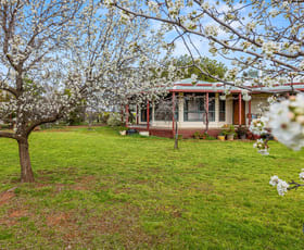 Rural / Farming commercial property for sale at 893 Deaths Lane Pullabooka NSW 2810