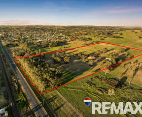 Rural / Farming commercial property for sale at 2992 Byrnes Road Junee NSW 2663