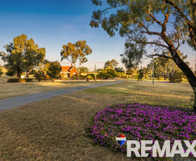 Rural / Farming commercial property for sale at 2992 Byrnes Road Junee NSW 2663