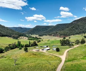 Rural / Farming commercial property for sale at 1473 Watagan Creek Road Laguna NSW 2325