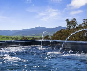Rural / Farming commercial property for sale at 93 Drakes Hill Road Mansfield VIC 3722