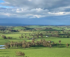 Rural / Farming commercial property for sale at 101 Stinging Nettle Gully Road Molesworth TAS 7140