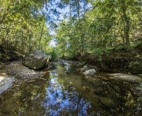 Rural / Farming commercial property for sale at 123 Parishs Road, Hilldale via Dungog NSW 2420