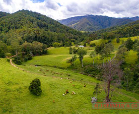 Rural / Farming commercial property for sale at Lot 104/123 Thumb Creek Rd Thumb Creek NSW 2447