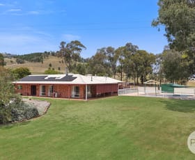 Rural / Farming commercial property for sale at 342 Garthowen Road Attunga NSW 2345 Rural / Farming commercial property for sale at 342 Garthowen Road Attunga NSW 2345