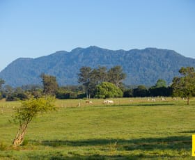 Rural / Farming commercial property for sale at 1531 Waterfall Way Bellingen NSW 2454
