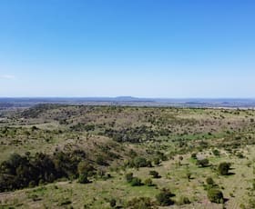 Rural / Farming commercial property for sale at Thangool QLD 4716