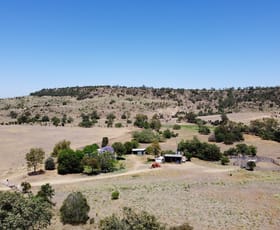 Rural / Farming commercial property for sale at Thangool QLD 4716