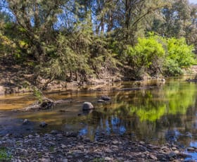 Rural / Farming commercial property for sale at 4194 Twelve Mile Road Gulgong NSW 2852 Rural / Farming commercial property for sale at 4194 Twelve Mile Road Gulgong NSW 2852