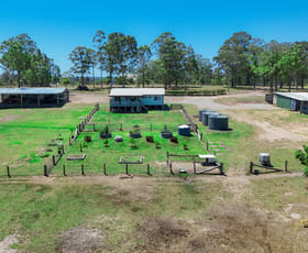 Rural / Farming commercial property for sale at 1333 Collombatti Road Collombatti NSW 2440