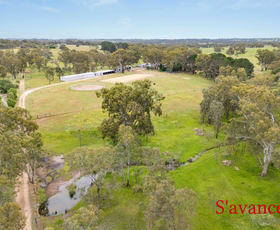 Rural / Farming commercial property for sale at 89 Schrapels Road Mount Pleasant SA 5235