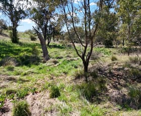Rural / Farming commercial property for sale at Lot 52 New England Highway Murulla NSW 2337