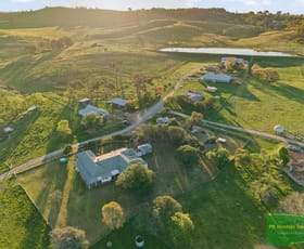 Rural / Farming commercial property for sale at 351 Shepherds Creek Road Euchareena NSW 2866