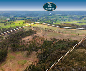 Rural / Farming commercial property for sale at 1606 Mount Canobolas Road, Orange NSW Orange NSW 2800 Rural / Farming commercial property for sale at 1606 Mount Canobolas Road, Orange NSW Orange NSW 2800