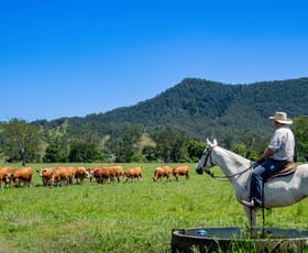 Rural / Farming commercial property for sale at 800 Fawcetts Plain Road Kyogle NSW 2474