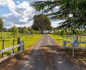Rural / Farming commercial property for sale at 993 Cargo Road Orange NSW 2800