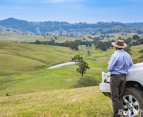 Rural / Farming commercial property for sale at 88 Turnbulls Road East Gresford NSW 2311