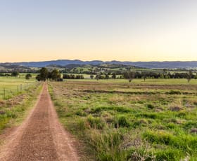 Rural / Farming commercial property for sale at 229 Melrose Road Mudgee NSW 2850