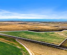 Rural / Farming commercial property for sale at Lot 1 Tolderol Road Langhorne Creek SA 5255