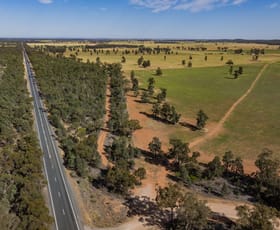 Rural / Farming commercial property for sale at 3356 Mid Western Highway North Yalgogrin NSW 2671